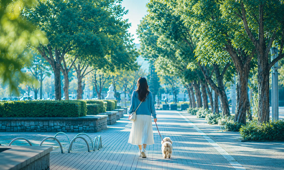52,000坪 竹南運動公園